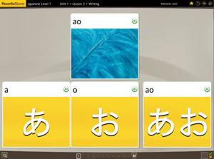 What is the Rosetta Stone Japanese Program?