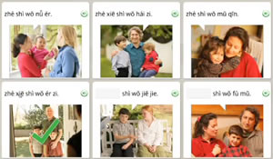 rosettastone chinese quizzes