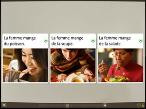 rosetta stone french culture lessons