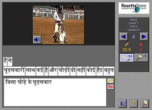 rosetta stone hindi learning methods