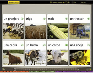 rosetta stone language training